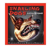 D'Andrea SDN09 струны для электрогитары, серии Snarling Dogs (09 - 42)