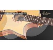 Ortega OERP Защитная накладка для акустической гитары, прозрачная, съемная