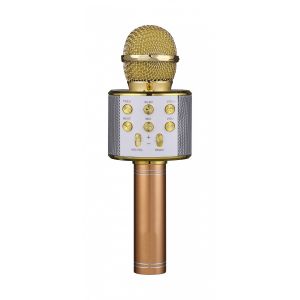 FunAudio G-800 Gold беспроводной микрофон, цвет золото