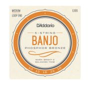 D'Addario EJ55 Комплект струн для 5-струнного банджо, фосф.бронза, Medium, 10-23 EJ55